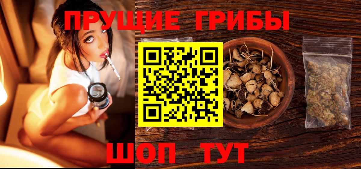 Псилоцибиновые грибы Cubensis  Вход с VPN  Орск 